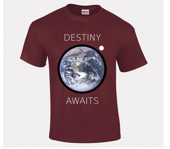 Destiny Awaits Printed T-Shirt - Mr Wings Emporium 