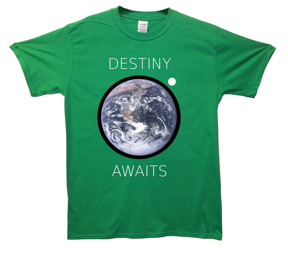 Destiny Awaits Printed T-Shirt - Mr Wings Emporium 