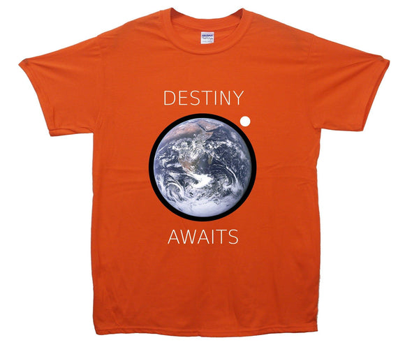 Destiny Awaits Printed T-Shirt - Mr Wings Emporium 