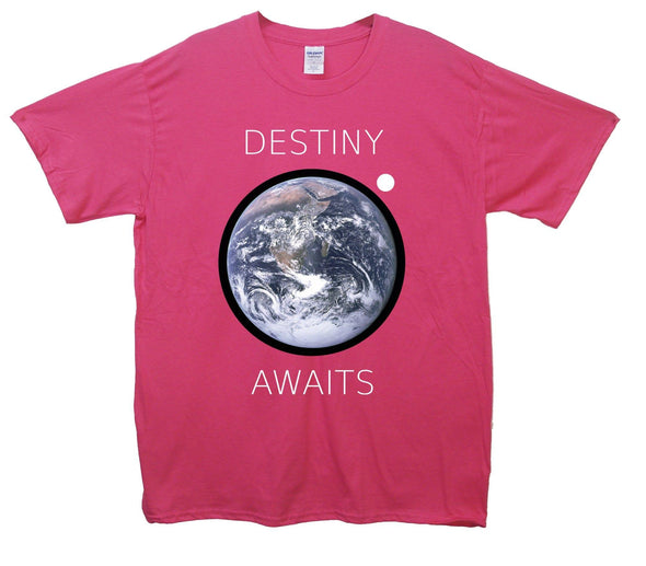 Destiny Awaits Printed T-Shirt - Mr Wings Emporium 