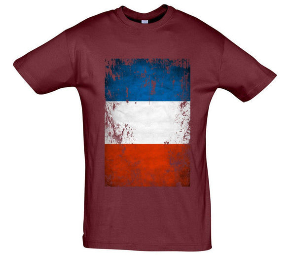 France Distressed Flag Printed T-Shirt - Mr Wings Emporium 