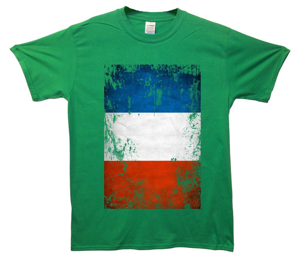 France Distressed Flag Printed T-Shirt - Mr Wings Emporium 
