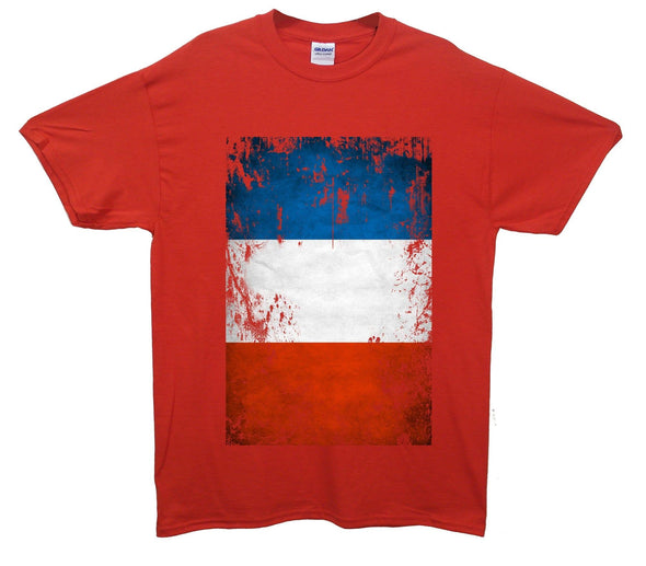 France Distressed Flag Printed T-Shirt - Mr Wings Emporium 