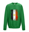 Egypt Distressed Flag Printed Sweatshirt - Mr Wings Emporium 