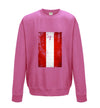 Austria Distressed Flag Printed Sweatshirt - Mr Wings Emporium 