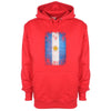 Argentina Distressed Flag Printed Hoodie - Mr Wings Emporium 