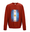 Argentina Distressed Flag Printed Sweatshirt - Mr Wings Emporium 