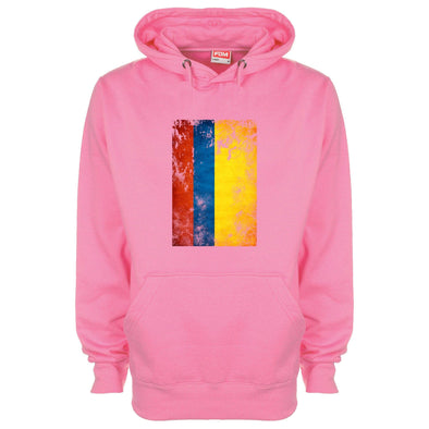 Columbia Distressed Flag Printed Hoodie - Mr Wings Emporium 