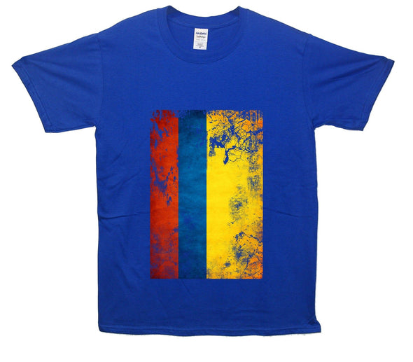 Columbia Distressed Flag Printed T-Shirt - Mr Wings Emporium 
