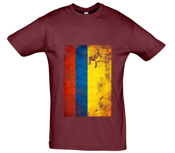 Columbia Distressed Flag Printed T-Shirt - Mr Wings Emporium 