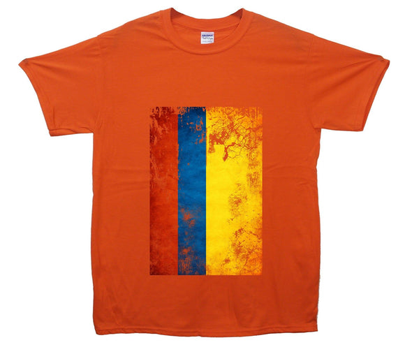 Columbia Distressed Flag Printed T-Shirt - Mr Wings Emporium 