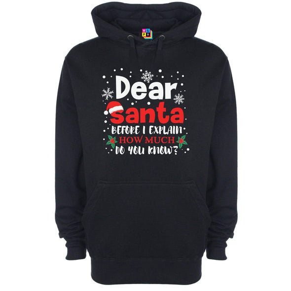 Dear Santa, How Much Do You Already Know? Printed Hoodie - Mr Wings Emporium 