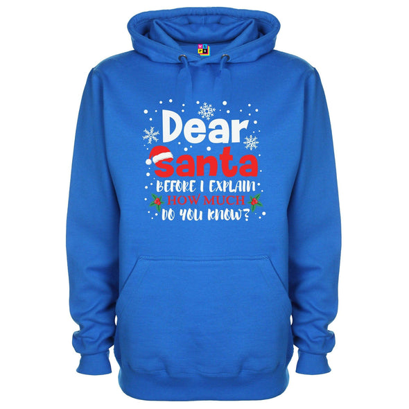 Dear Santa, How Much Do You Already Know? Printed Hoodie - Mr Wings Emporium 