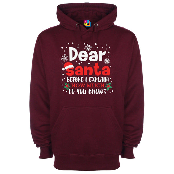 Dear Santa, How Much Do You Already Know? Printed Hoodie - Mr Wings Emporium 
