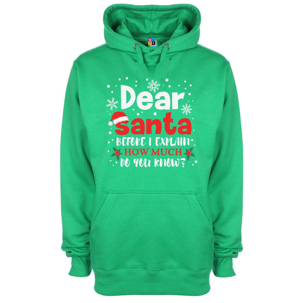 Dear Santa, How Much Do You Already Know? Printed Hoodie - Mr Wings Emporium 