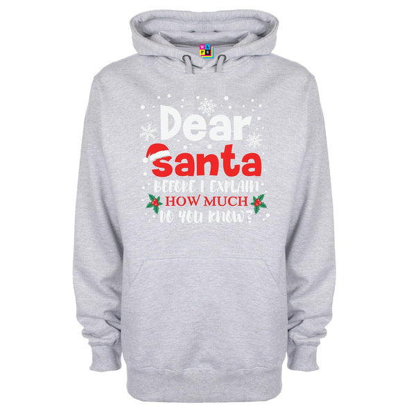 Dear Santa, How Much Do You Already Know? Printed Hoodie - Mr Wings Emporium 