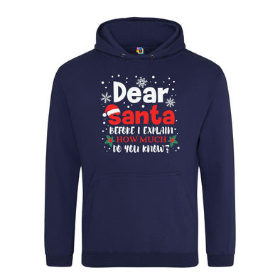 Dear Santa, How Much Do You Already Know? Printed Hoodie - Mr Wings Emporium 