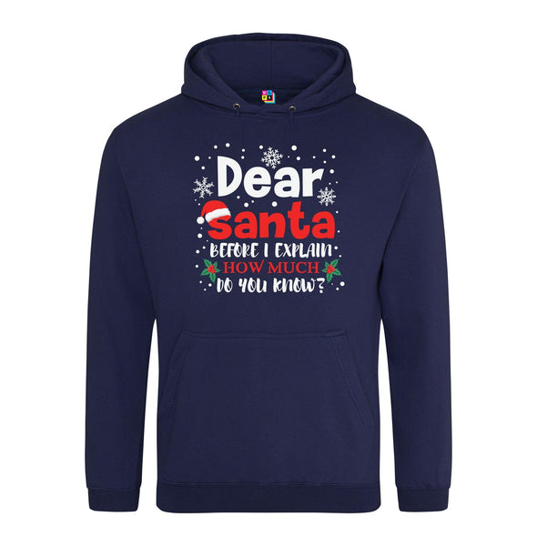 Dear Santa, How Much Do You Already Know? Printed Hoodie - Mr Wings Emporium 