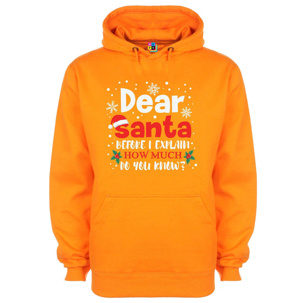 Dear Santa, How Much Do You Already Know? Printed Hoodie - Mr Wings Emporium 