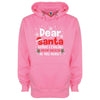 Dear Santa, How Much Do You Already Know? Printed Hoodie - Mr Wings Emporium 