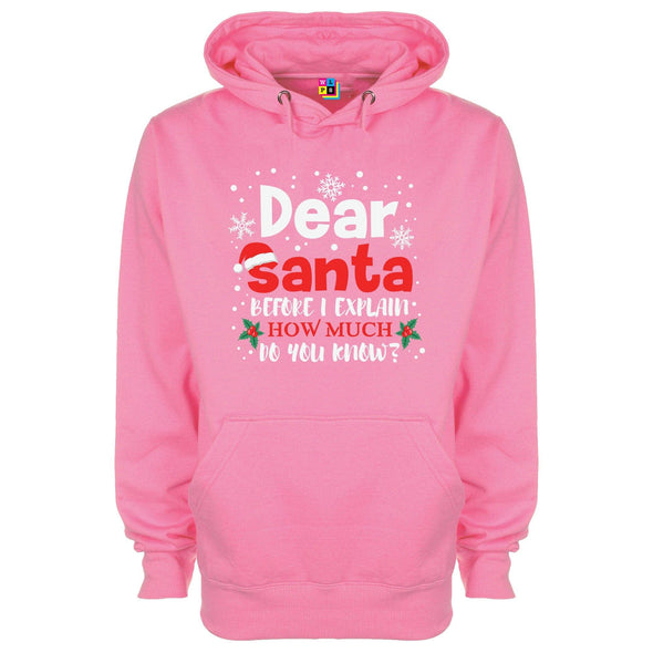 Dear Santa, How Much Do You Already Know? Printed Hoodie - Mr Wings Emporium 