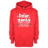 Dear Santa, How Much Do You Already Know? Printed Hoodie - Mr Wings Emporium 