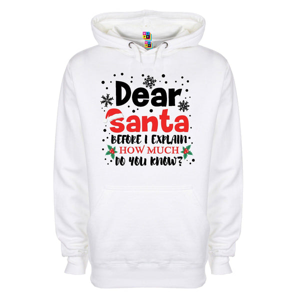 Dear Santa, How Much Do You Already Know? Printed Hoodie - Mr Wings Emporium 