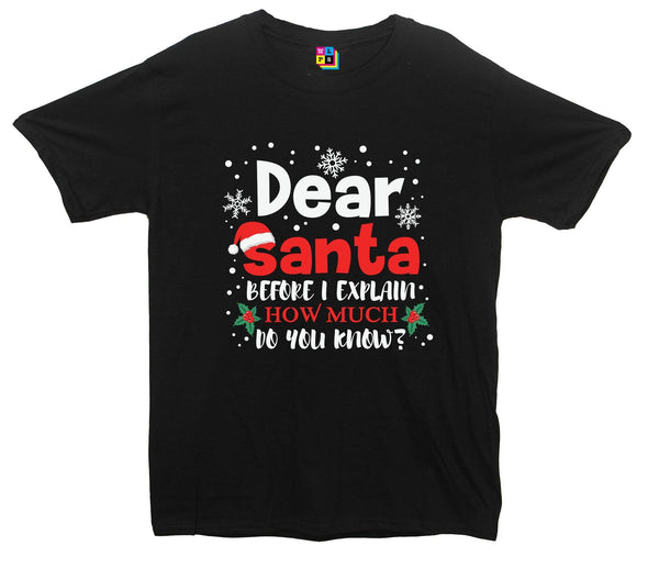 Dear Santa, How Much Do You Already Know? Printed T-Shirt - Mr Wings Emporium 