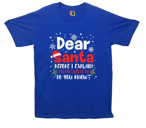 Dear Santa, How Much Do You Already Know? Printed T-Shirt - Mr Wings Emporium 