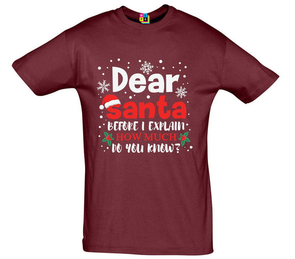 Dear Santa, How Much Do You Already Know? Printed T-Shirt - Mr Wings Emporium 