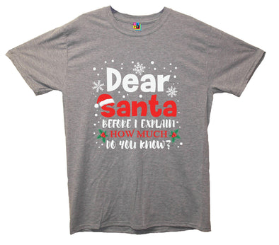 Dear Santa, How Much Do You Already Know? Printed T-Shirt - Mr Wings Emporium 