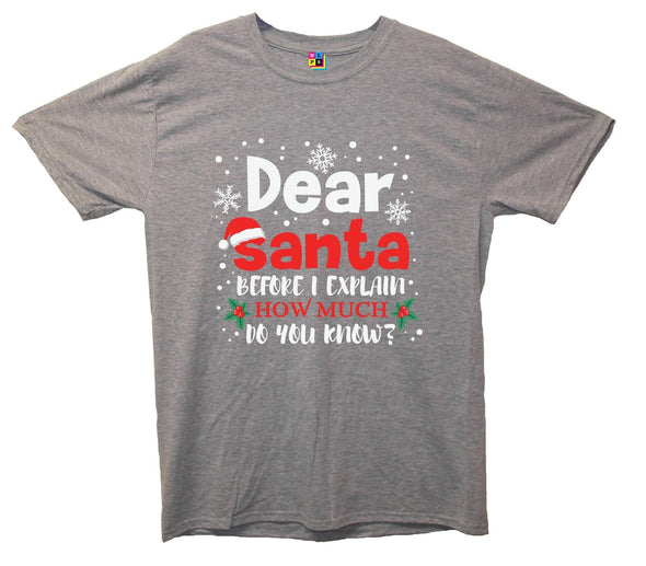 Dear Santa, How Much Do You Already Know? Printed T-Shirt - Mr Wings Emporium 