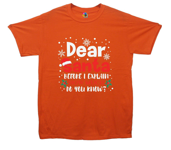 Dear Santa, How Much Do You Already Know? Printed T-Shirt - Mr Wings Emporium 