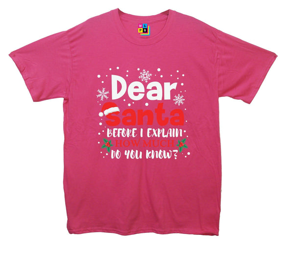 Dear Santa, How Much Do You Already Know? Printed T-Shirt - Mr Wings Emporium 