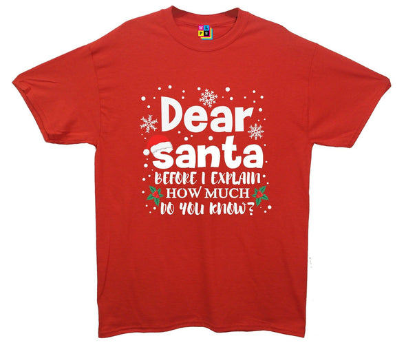 Dear Santa, How Much Do You Already Know? Printed T-Shirt - Mr Wings Emporium 