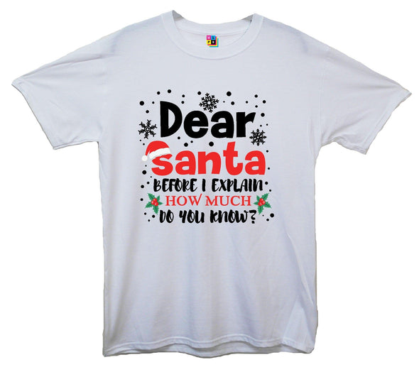Dear Santa, How Much Do You Already Know? Printed T-Shirt - Mr Wings Emporium 
