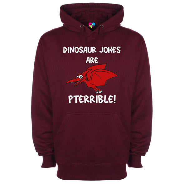 Dinosaur Jokes Are Pterrible Printed Hoodie - Mr Wings Emporium 