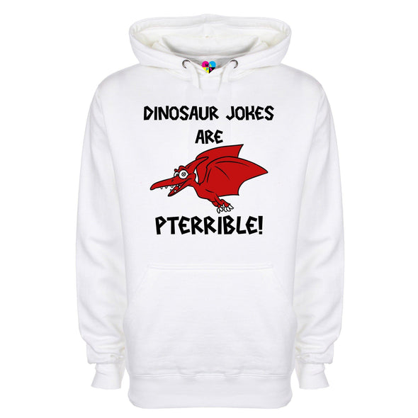 Dinosaur Jokes Are Pterrible Printed Hoodie - Mr Wings Emporium 