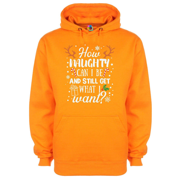 How Naughty Can I Be & Still Get What I Want Funny Christmas Printed Hoodie - Mr Wings Emporium 