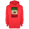 Mexico Distressed Flag Printed Hoodie - Mr Wings Emporium 