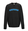 Sweden Printed Sweatshirt - Mr Wings Emporium 