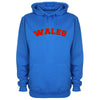 Wales Printed Hoodie - Mr Wings Emporium 