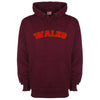 Wales Printed Hoodie - Mr Wings Emporium 