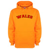 Wales Printed Hoodie - Mr Wings Emporium 