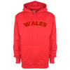 Wales Printed Hoodie - Mr Wings Emporium 