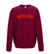 Wales Printed Printed Sweatshirt - Mr Wings Emporium 