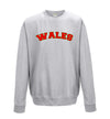 Wales Printed Printed Sweatshirt - Mr Wings Emporium 