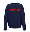 Wales Printed Printed Sweatshirt - Mr Wings Emporium 
