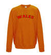 Wales Printed Printed Sweatshirt - Mr Wings Emporium 