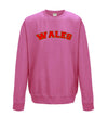 Wales Printed Printed Sweatshirt - Mr Wings Emporium 